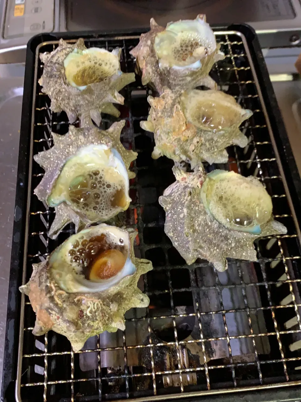 頂き物のサザエさんのつぼ焼き|きよっさんさん