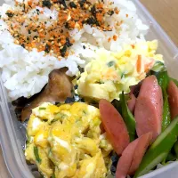 Snapdishの料理写真:婿さん弁当|けりょこさん