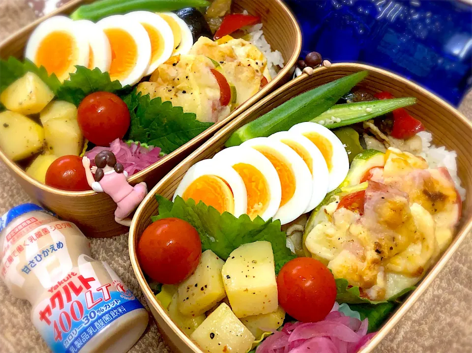 Snapdishの料理写真:夏野菜のガパオ炒め&ズッキーニのベーコン🥓トマト🍅チーズ🧀焼き&スライス茹で玉子&オクラの出汁煮&じゃがいも🥔のペペロンソテー&紫玉ねぎマリネ&大葉&プチトマト🍅の夫婦お弁当♪|桃実さん