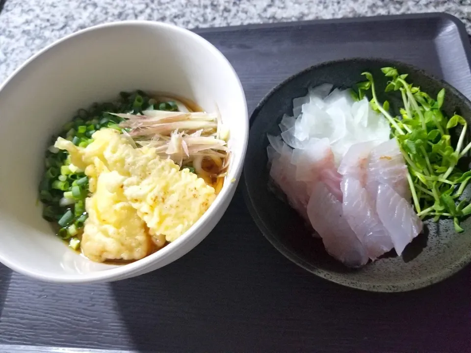 鯛の刺身
鯛の天ぷらころうどん|あぁちゃんさん