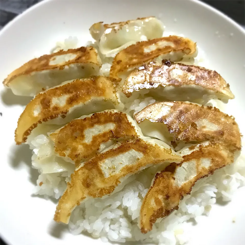 今夜は、カリカリに焼いた餃子ライス🥟を頂きます😊🎵|ギムレットさん