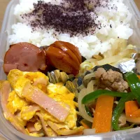 Snapdishの料理写真:婿さん弁当|けりょこさん