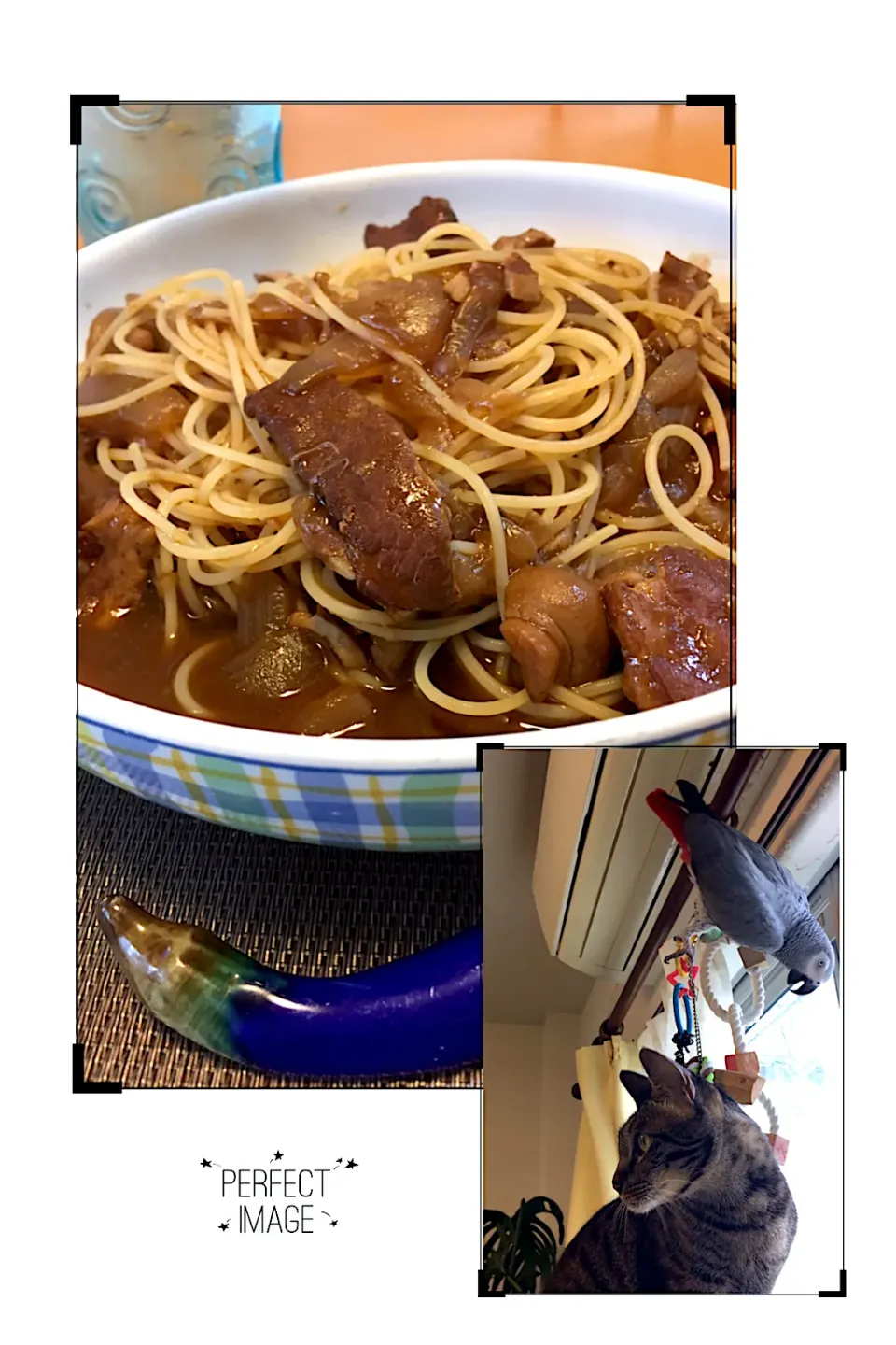 Snapdishの料理写真:手抜き（・ω・✌ハヤシライスで、パスタ🍝( 'ч'๑ )ŧ‹"ŧ‹"|MOMO-chan☻さん