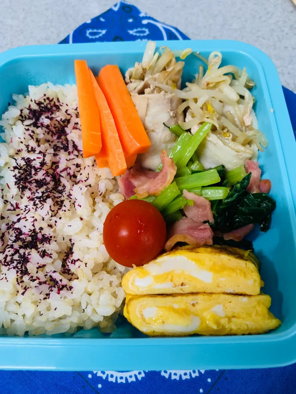 8/30今日のお弁当|Satokoさん