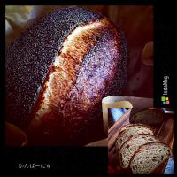 カンパーニュ with ブルーポピーシード