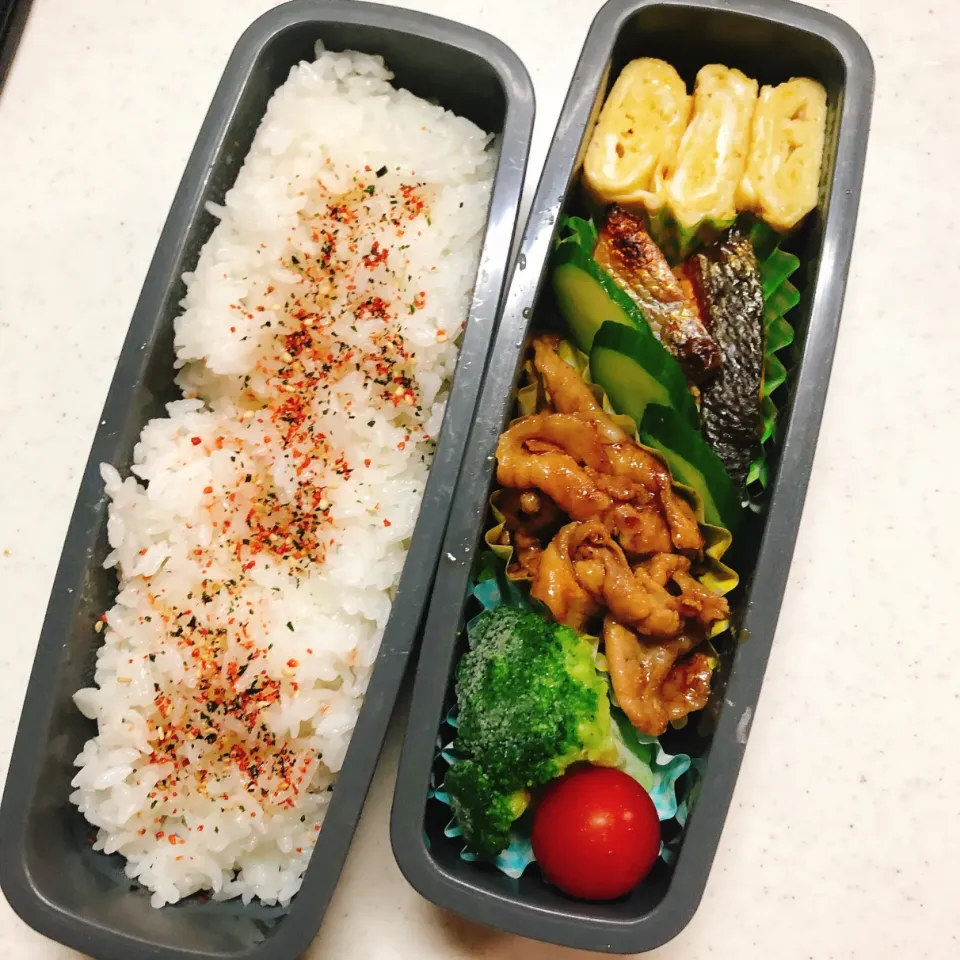 今日のお弁当|むっちょさん