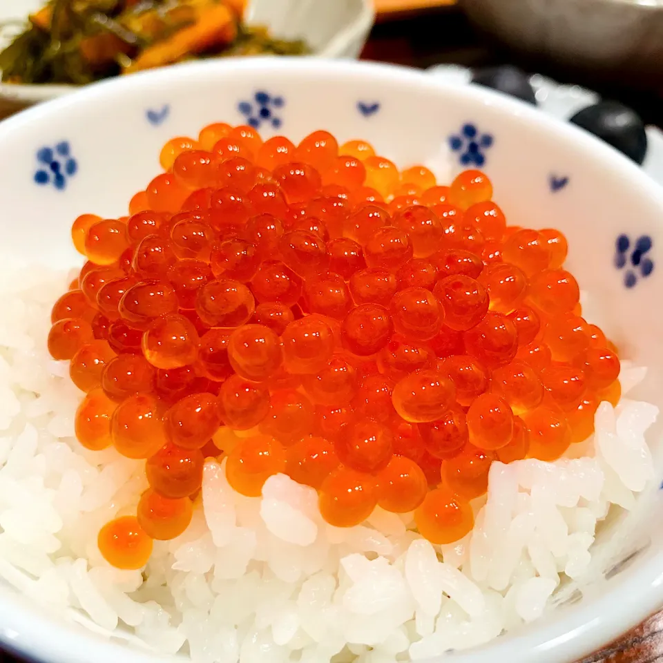 いくらの醤油漬け丼|いちごさん