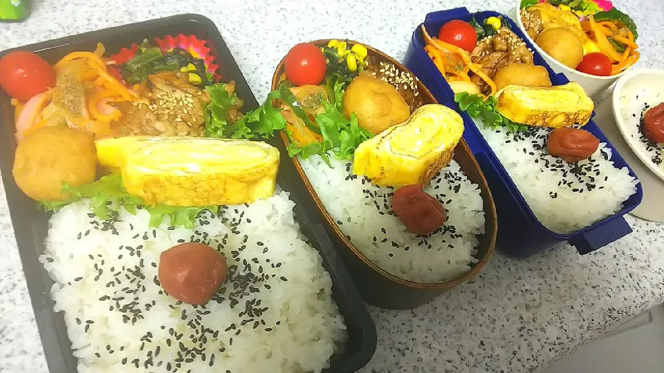 4人分お弁当|かねしろ食堂さん