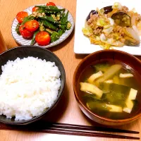 Snapdishの料理写真:ナスとキャベツの挽肉あんかけ|jocoさん