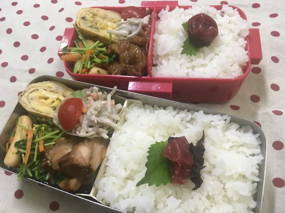 Snapdishの料理写真:9月2日 久々弁当🍱|sakuramochiさん