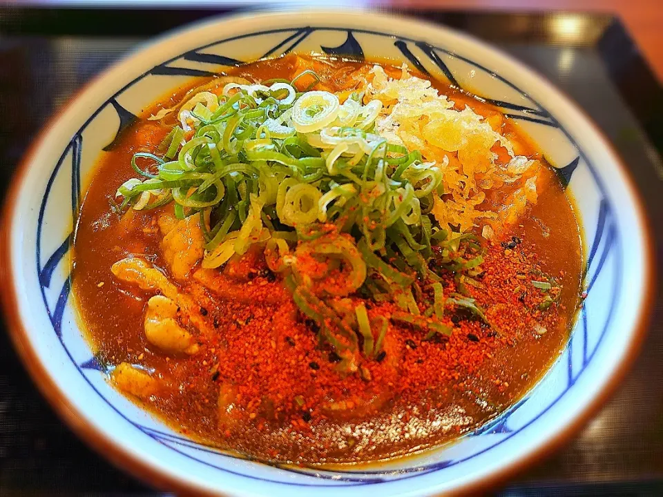 今日は、カレーうどん🍜|yokoさん