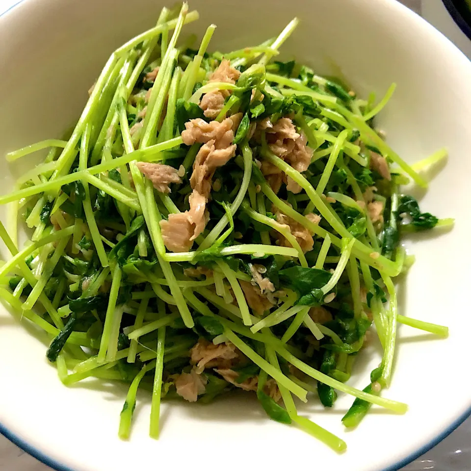 Snapdishの料理写真:豆苗とツナの麺つゆ和え|沙織さん