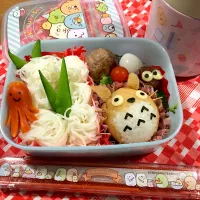 Snapdishの料理写真:トトロと素麺弁当|mama+mさん