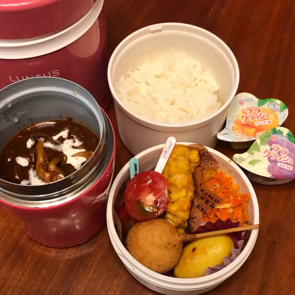 Snapdishの料理写真:2019.09.03 ハヤシライス弁当|みほさん