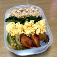 Snapdishの料理写真:婿さん弁当|けりょこさん