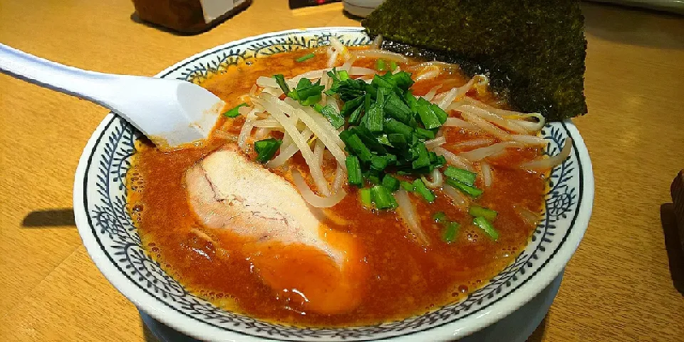 熟成味噌ラーメン@静岡 丸源|kamekameさん