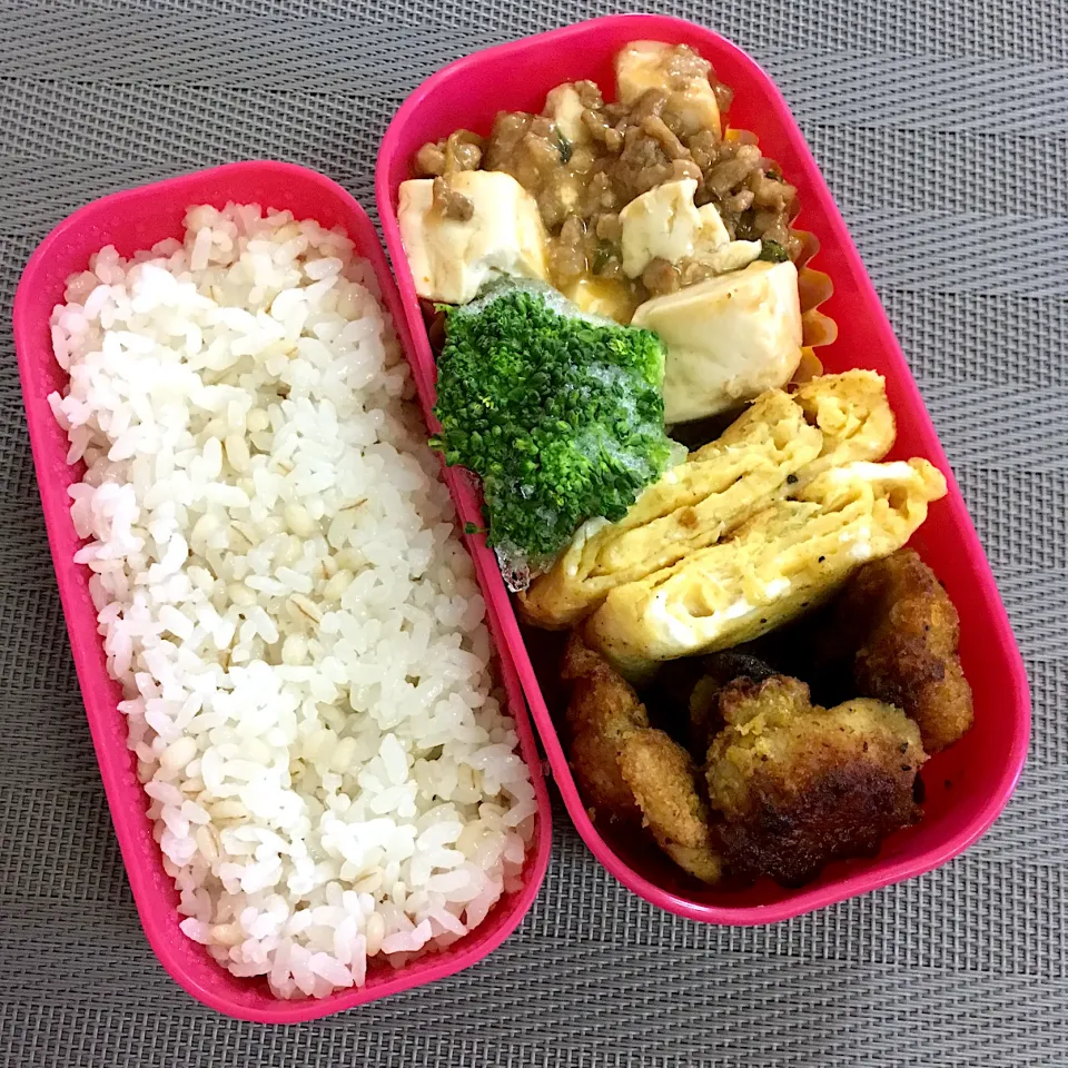 Snapdishの料理写真:190903お弁当|mioさん