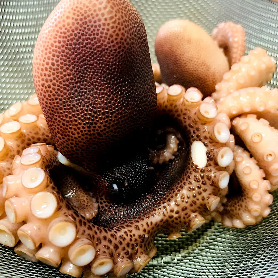 茹でタコ完成🐙|いちごさん