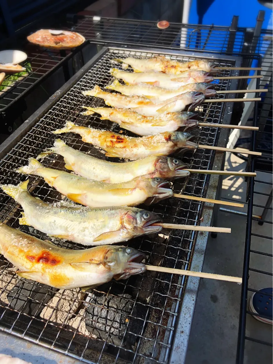 Snapdishの料理写真:鮎の塩焼き|Kashimanakitchenさん