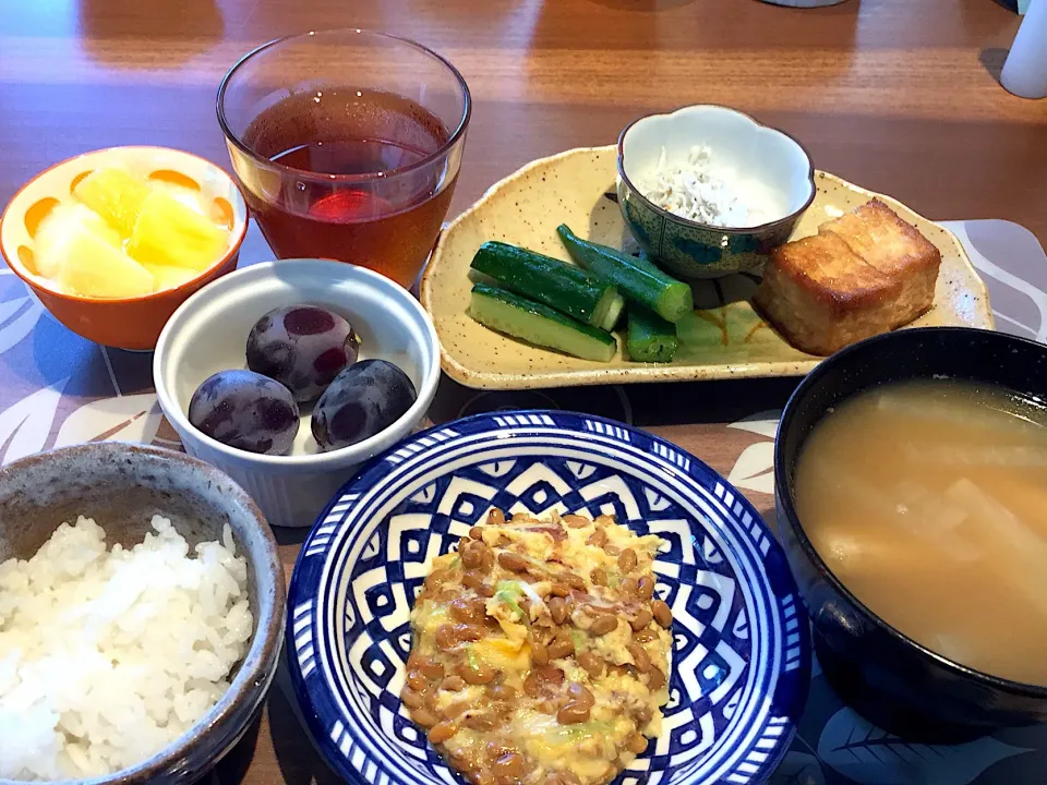 朝ごはん
厚揚げの甘辛煮、塩きゅうり、オクラの漬物、シラス、白米、納豆オムレツ、大根としめじと揚げの味噌汁、パイナップル添えヨーグルト、巨峰、ルイボスティー|かよちゃんさん