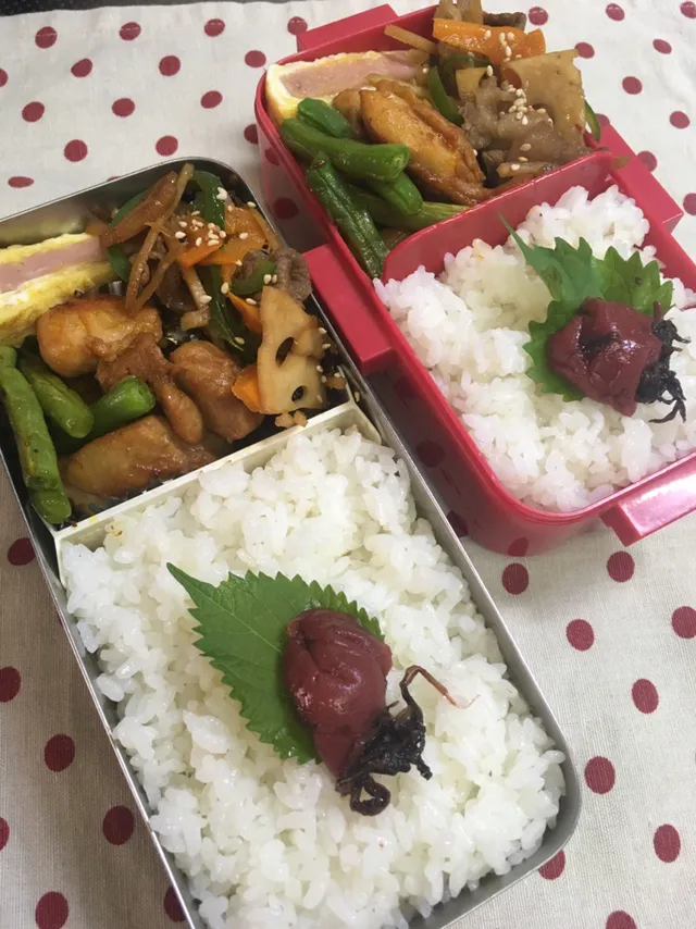 9月6日 週末弁当🍱|sakuramochiさん