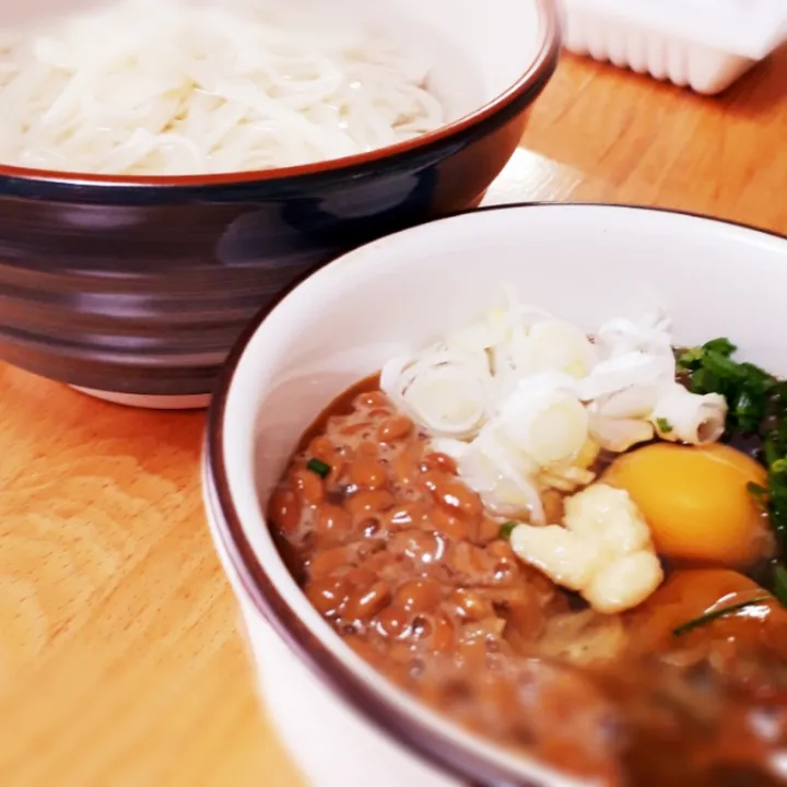 ひっぱりうどんカレー味|Takuya Hashimotoさん