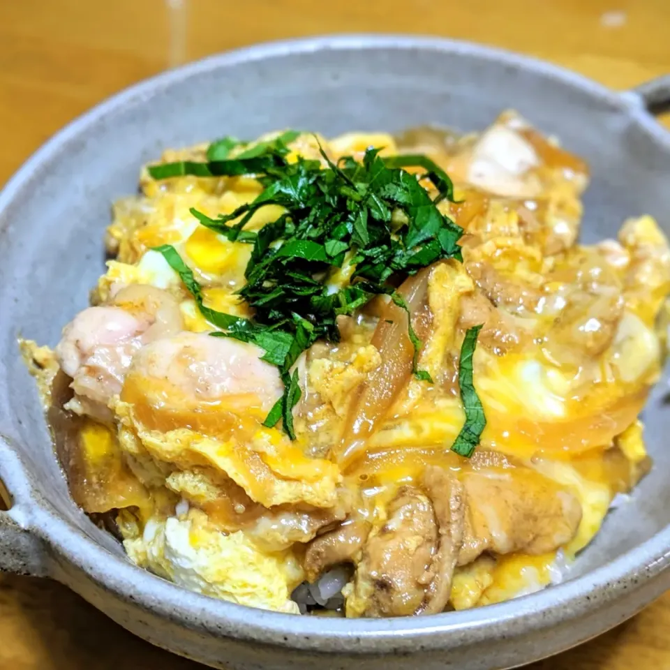 親子丼|k_yama_kochiさん