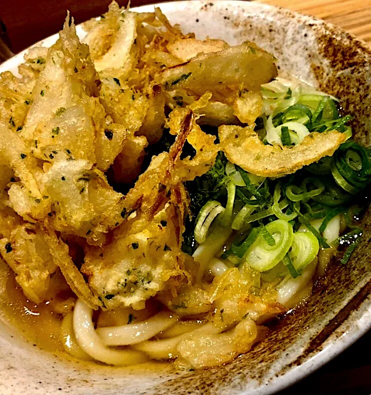 玉ねぎかき揚げうどん|zeroweb_bossさん