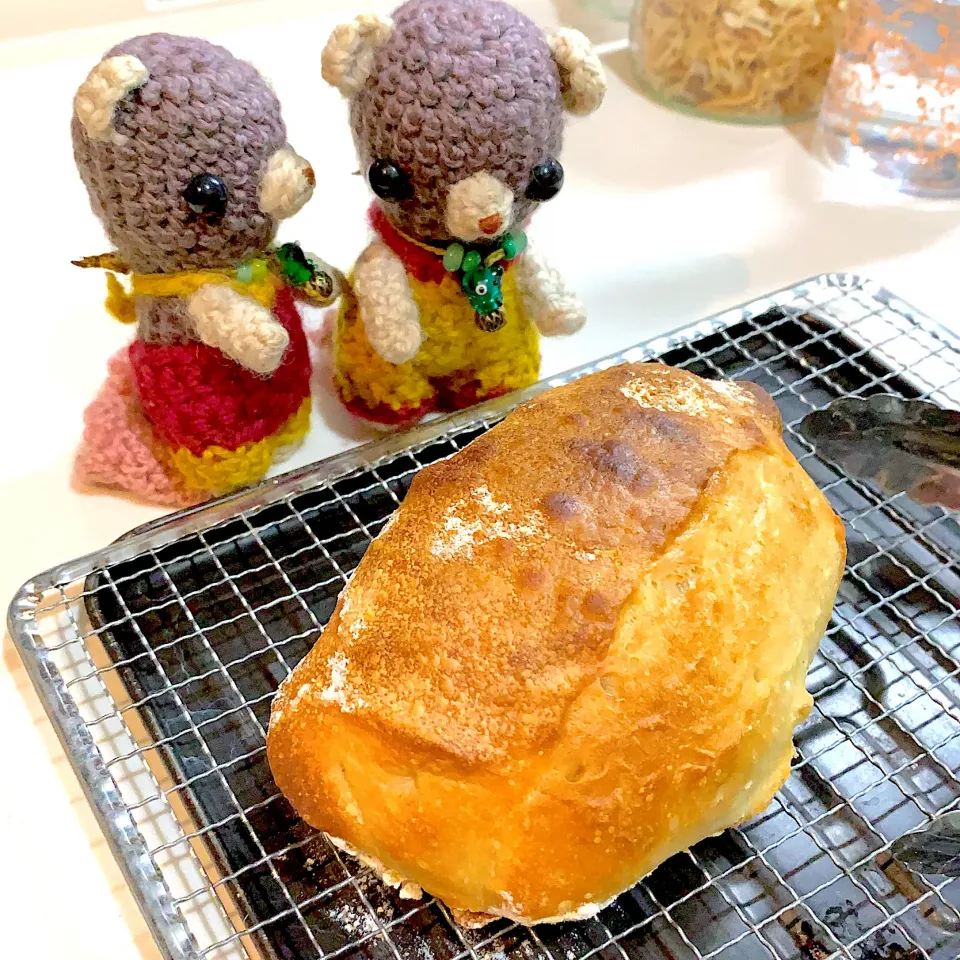 タイプERでトースター焼き（╹◡╹）|chagashiさん