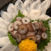 タコしゃぶ🐙|左京さん