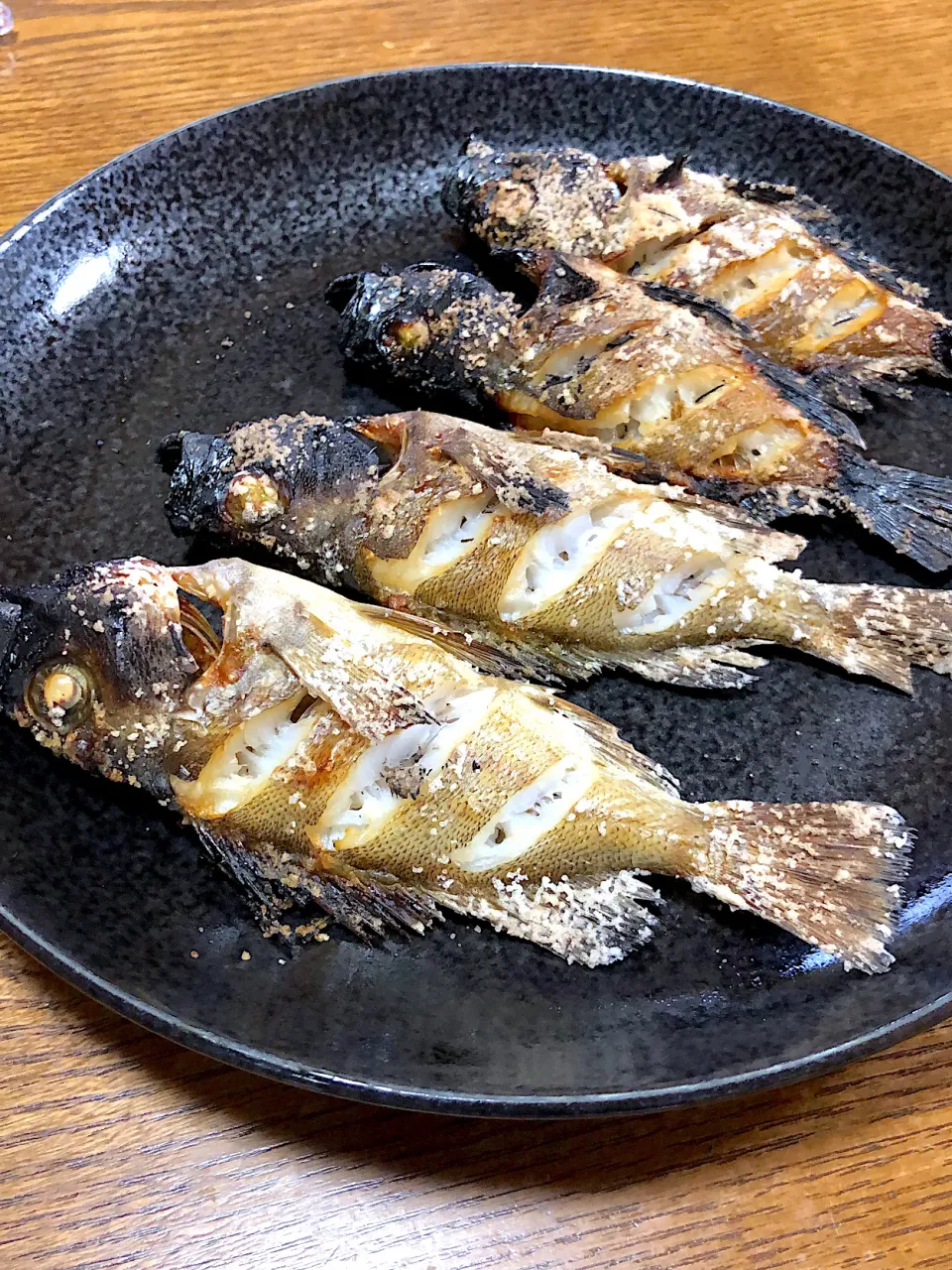 昨夜釣ったメバルの塩焼き|リトルターン(釣った魚の料理垢)さん