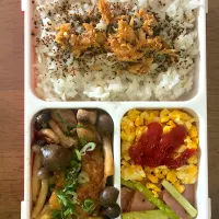 本日のお弁当9/10|なみさん