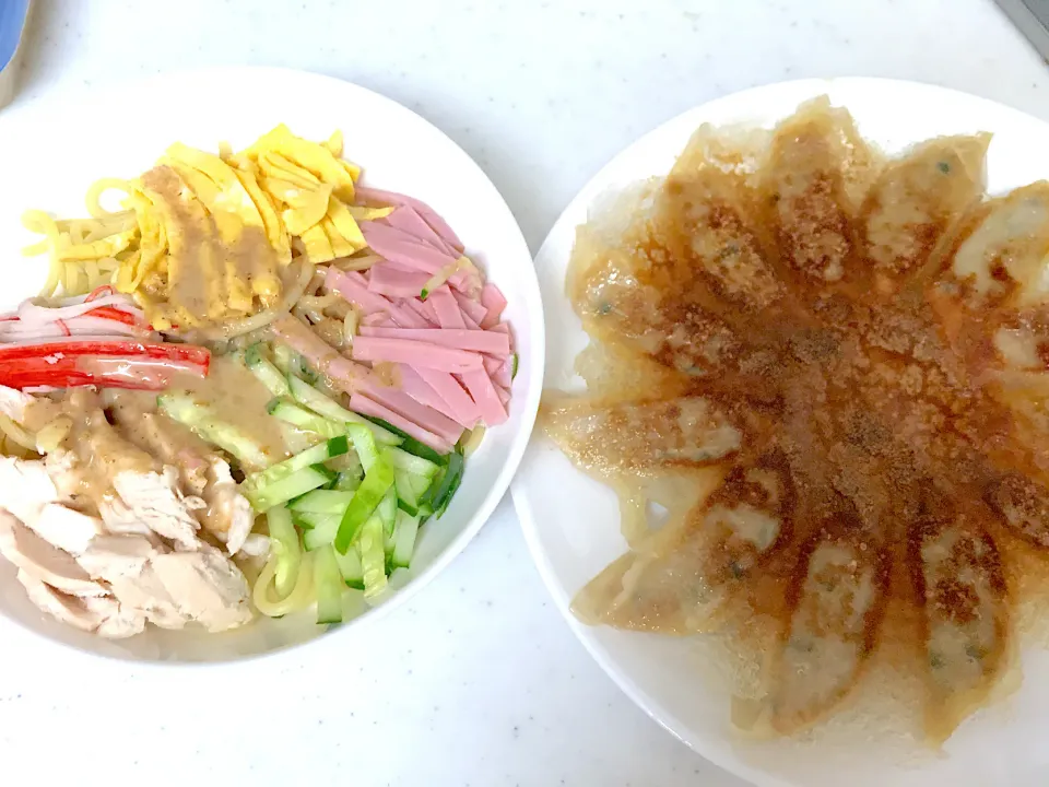 Snapdishの料理写真:#冷麺ゴマだれ#羽根つき餃子|やすあけさん