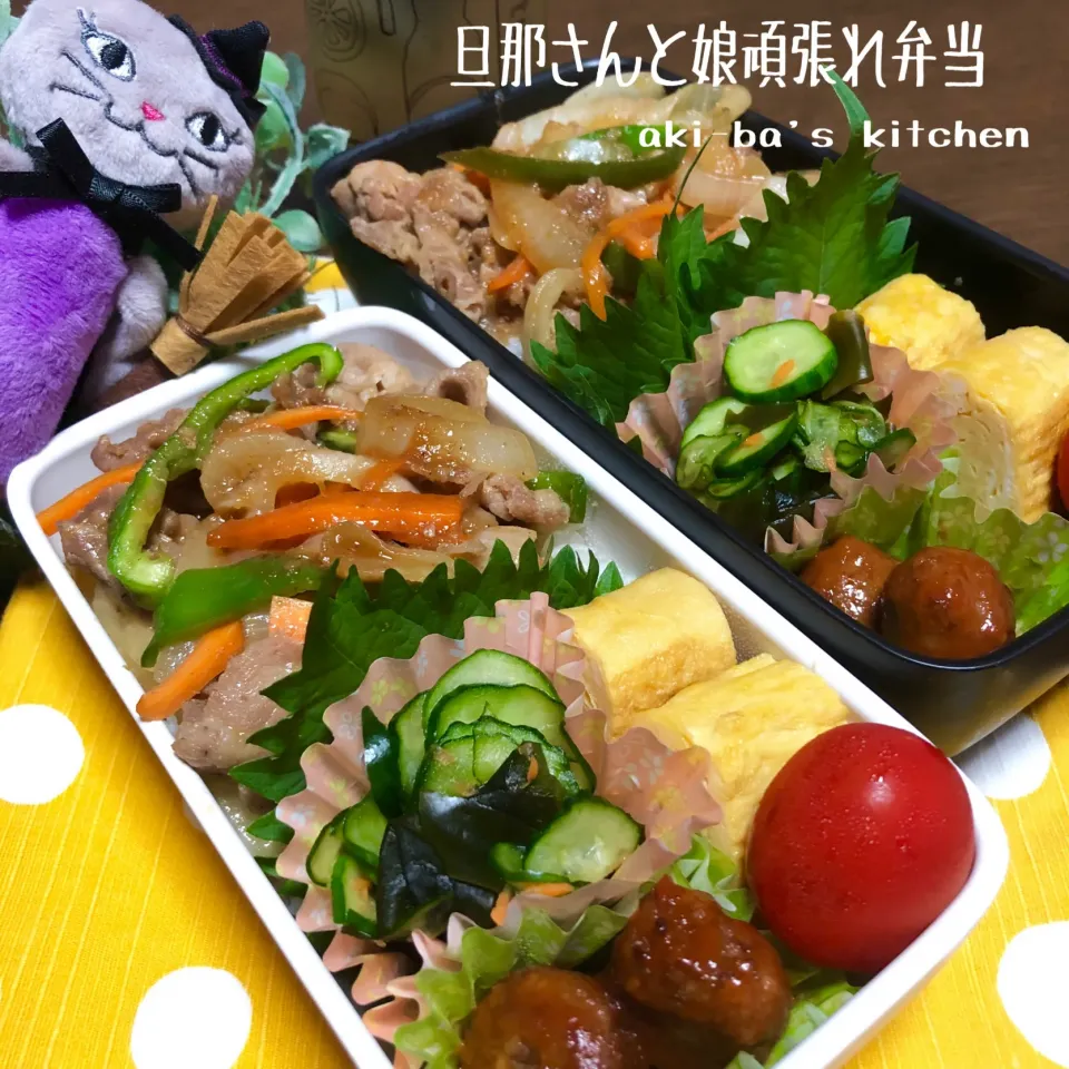 昨日の旦那さんと娘弁当9/10|アキーバさん