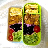 Snapdishの料理写真:ささみの甘辛焼き弁当|はちみりさん