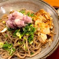 今日のお昼ご飯は、越前おろし蕎麦どす🍜最近蕎麦率が異様に高いですわね🤔