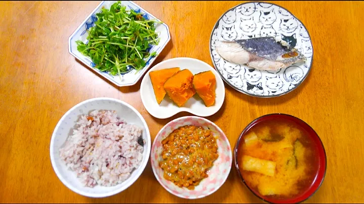 ８月２９日　鰆の塩焼き　豆苗サラダ　かぼちゃの塩尼　油揚げとわかめのお味噌汁|いもこ。さん