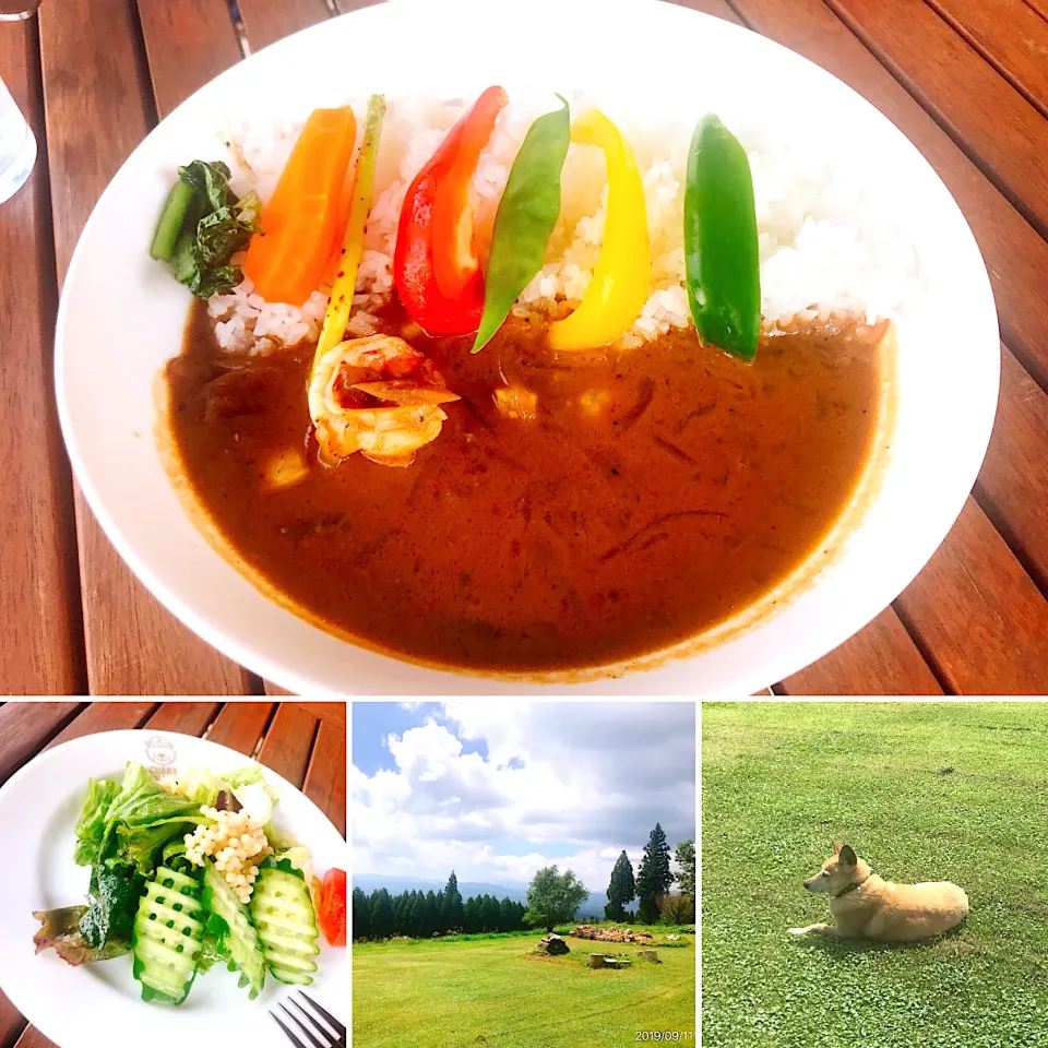 Forest Cafe bear   ココナッツシーフードカレー🍛|コージ💫さん