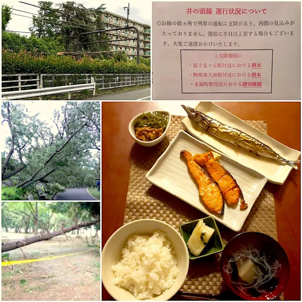 Today's Dinner🍴台風の影響deかき集めご飯･鮭の西京焼き･秋刀魚の塩焼き･めかぶ納豆･白飯･ﾌｧﾐﾏおでんｽｰﾌﾟ･柚子大根のお漬物|🌈Ami🍻さん