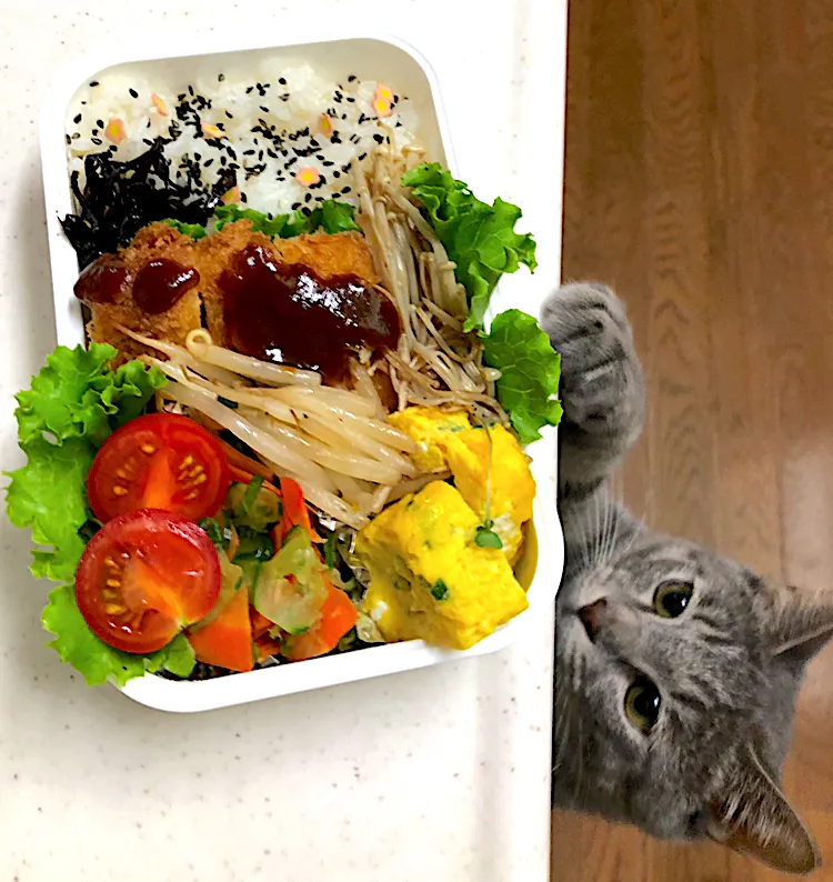 猫が主役のとんかつ弁当|cafe3733さん