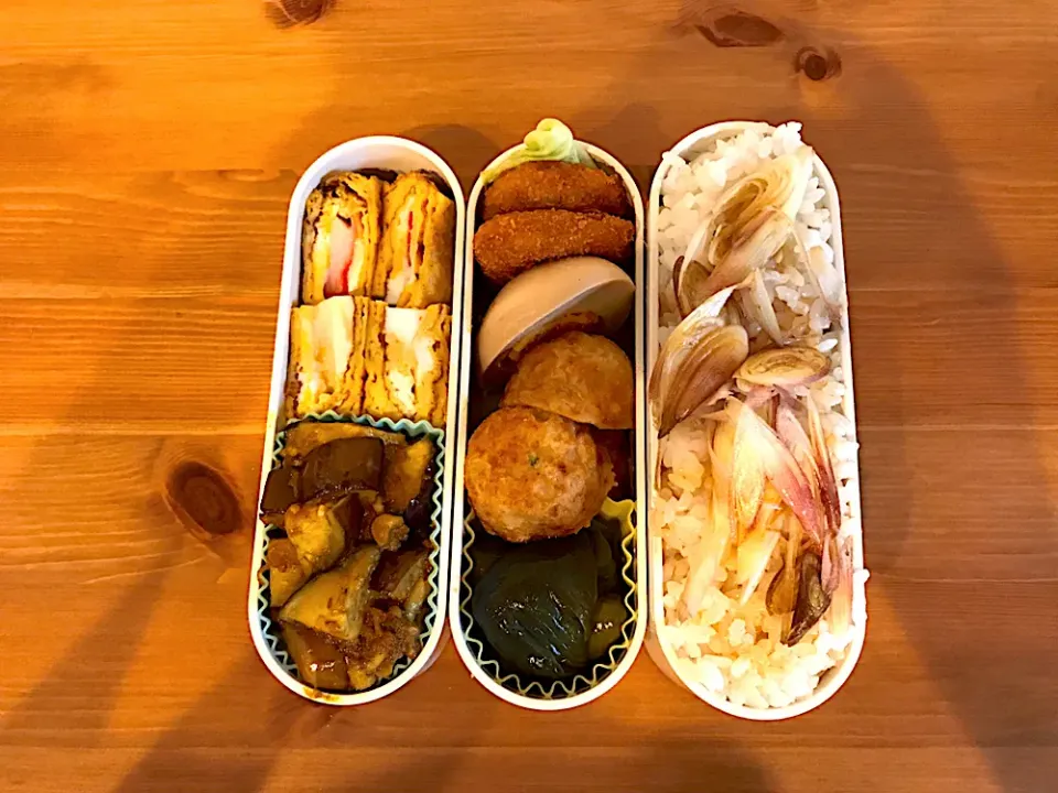 Snapdishの料理写真:茄子カレー炒め弁当🍆|Emi Mikadoさん