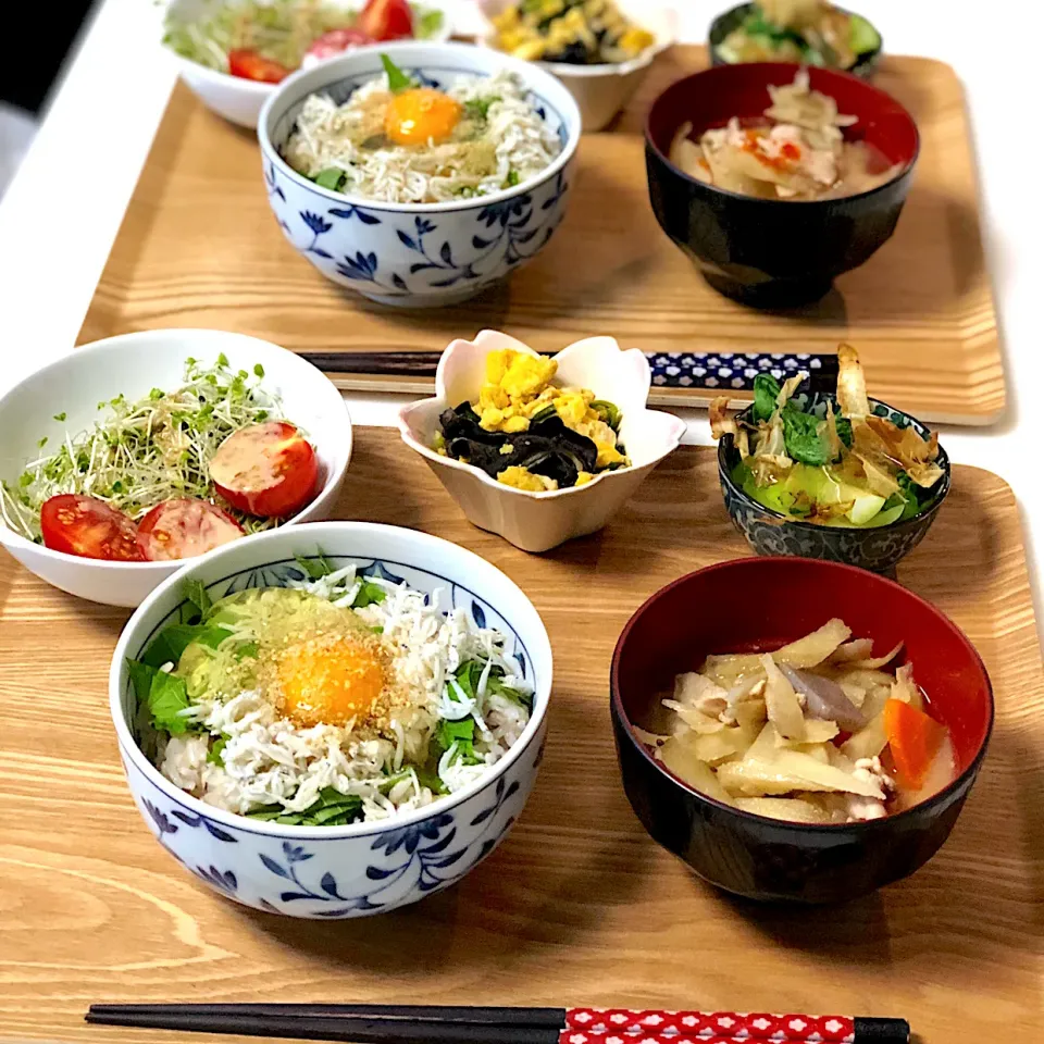 Snapdishの料理写真:シラス丼
豚汁、チンゲン菜のおひたし
きくらげの中華炒め
スプラウトサラダ|しーちゃんさん