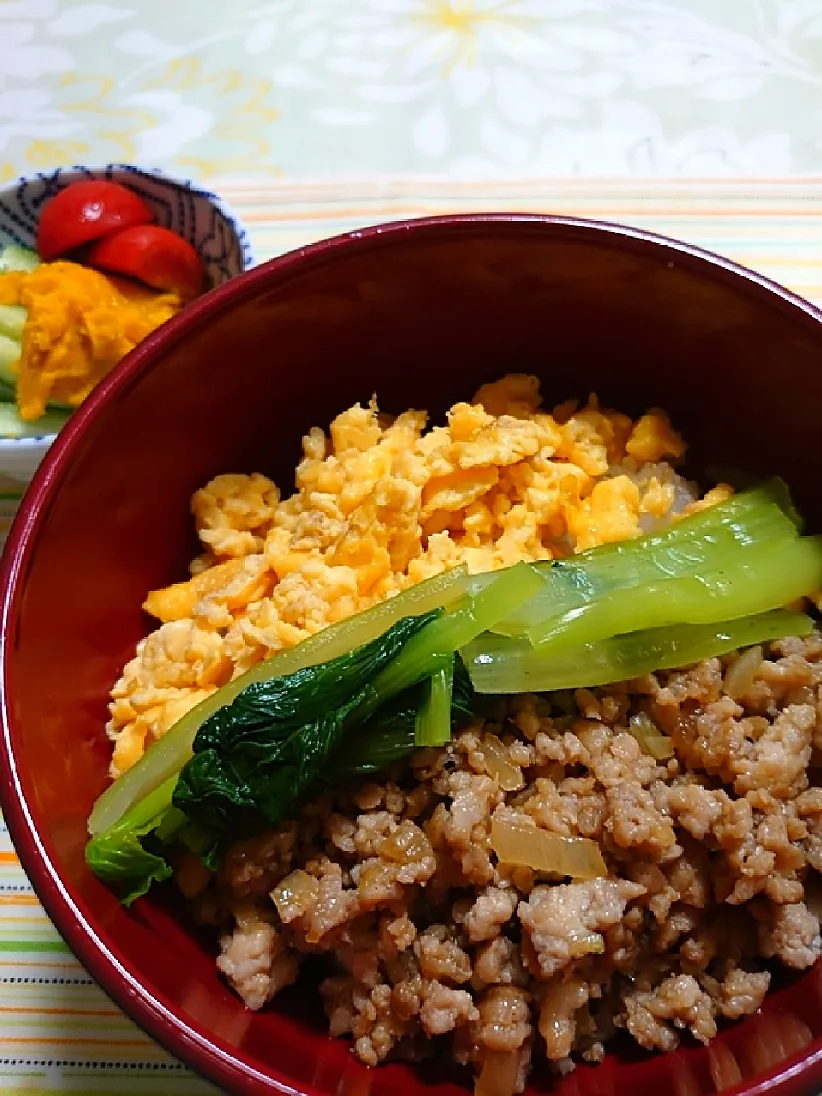 三色丼とミニサラダの夕飯🌃🍴

夏バテ中の相方に作りました😃✌️
ご飯もおかずも減らして、食べられるものを考えて作ってます😜

まだ、働いてもらわないと～😅|🍒ふみりん🍒さん