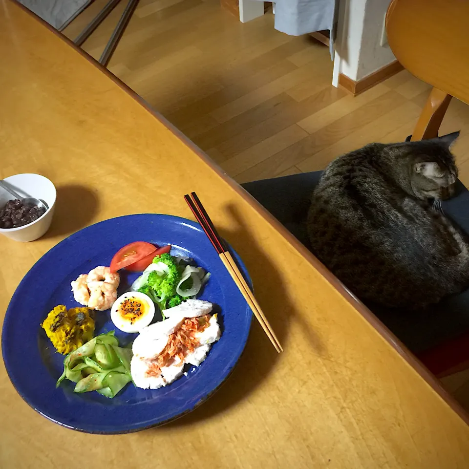 ワンプレートご飯|azuki_hanaさん