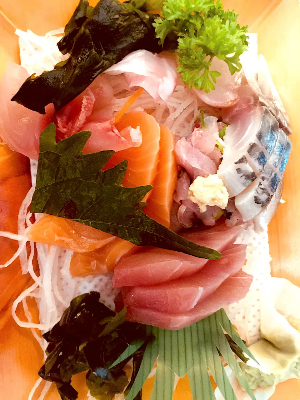 Sashimi|Generaalさん