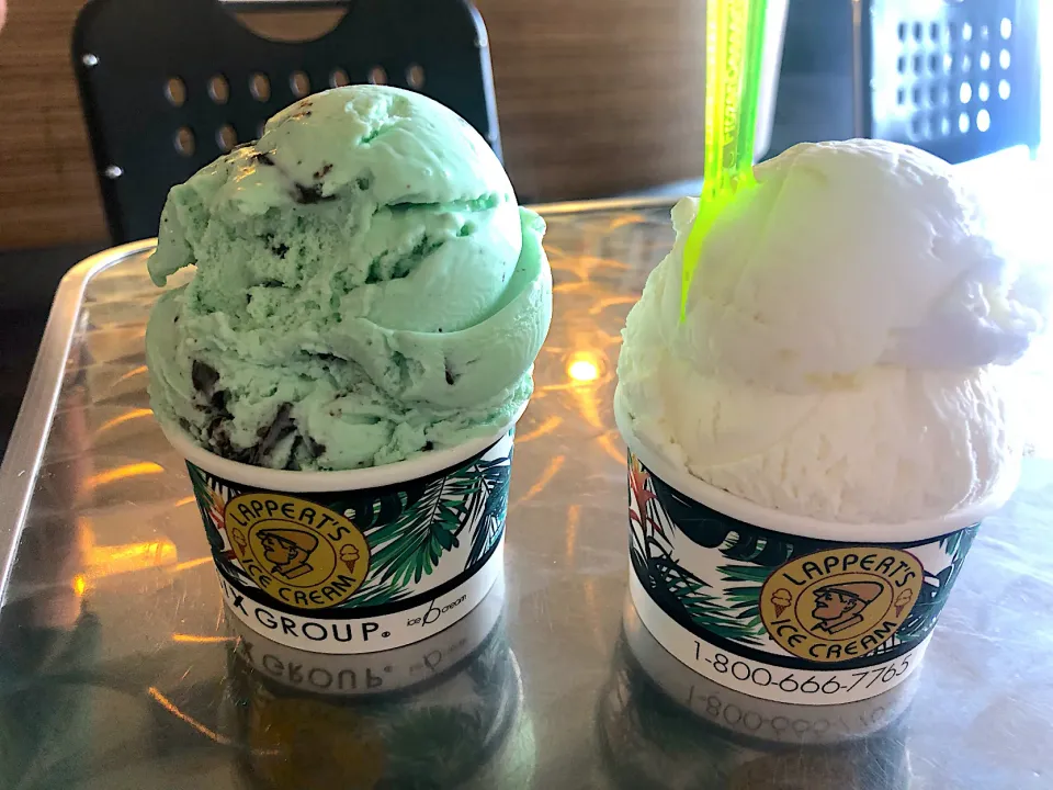 Mint chocolate ice cream & lemon ice cream|Makigelinaさん