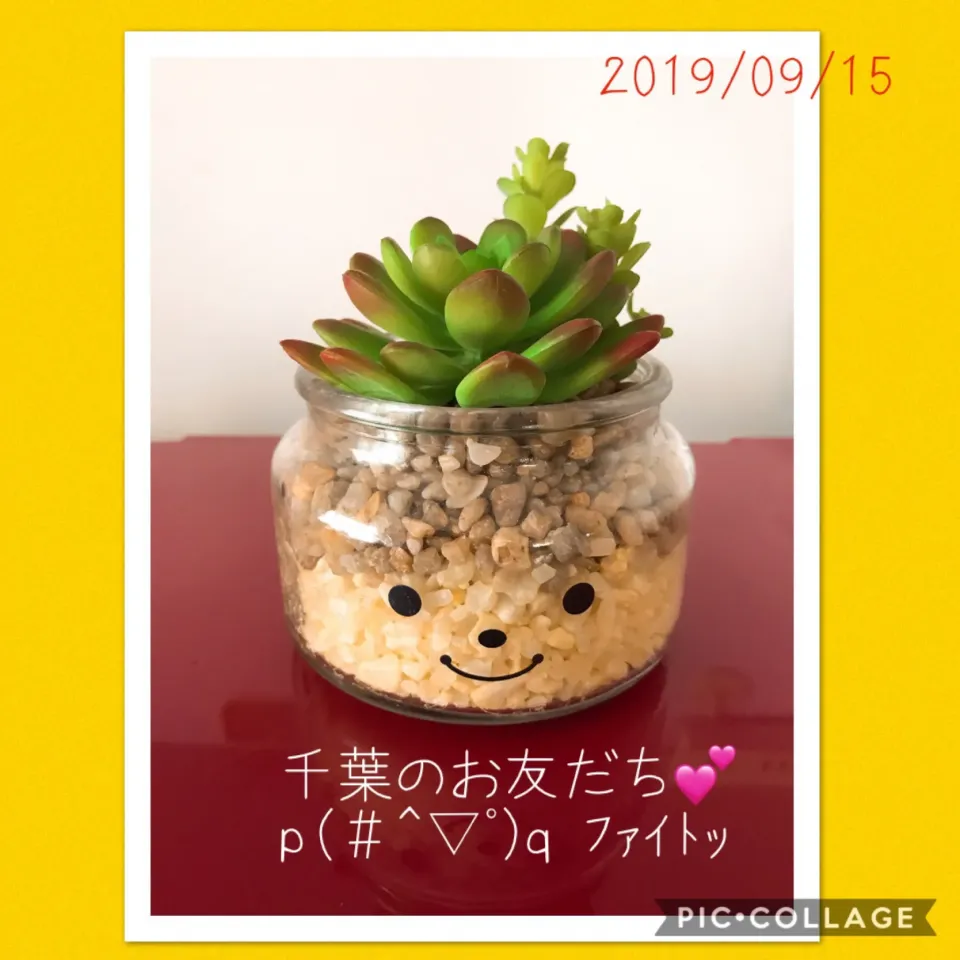 Snapdishの料理写真:#千葉のお友だちｐ(*^-^*)ｑ がんばっ♪|みすてりあすゆっこさん