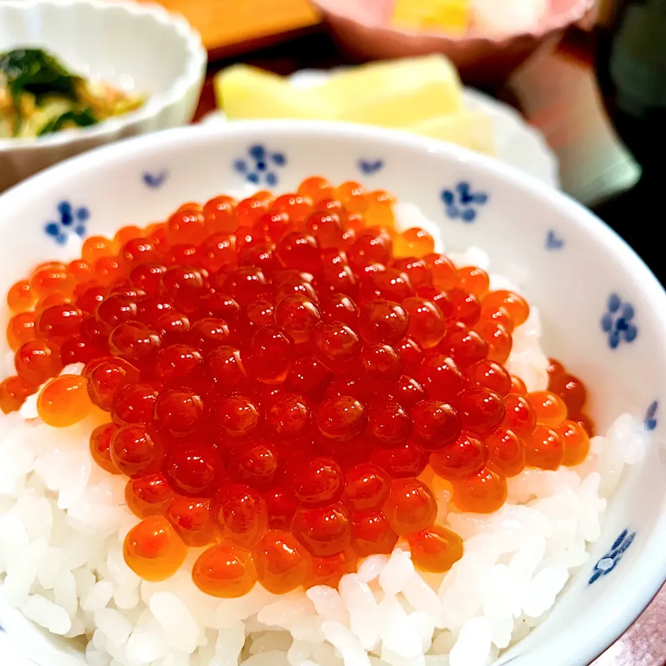 Snapdishの料理写真:いくら丼|いちごさん