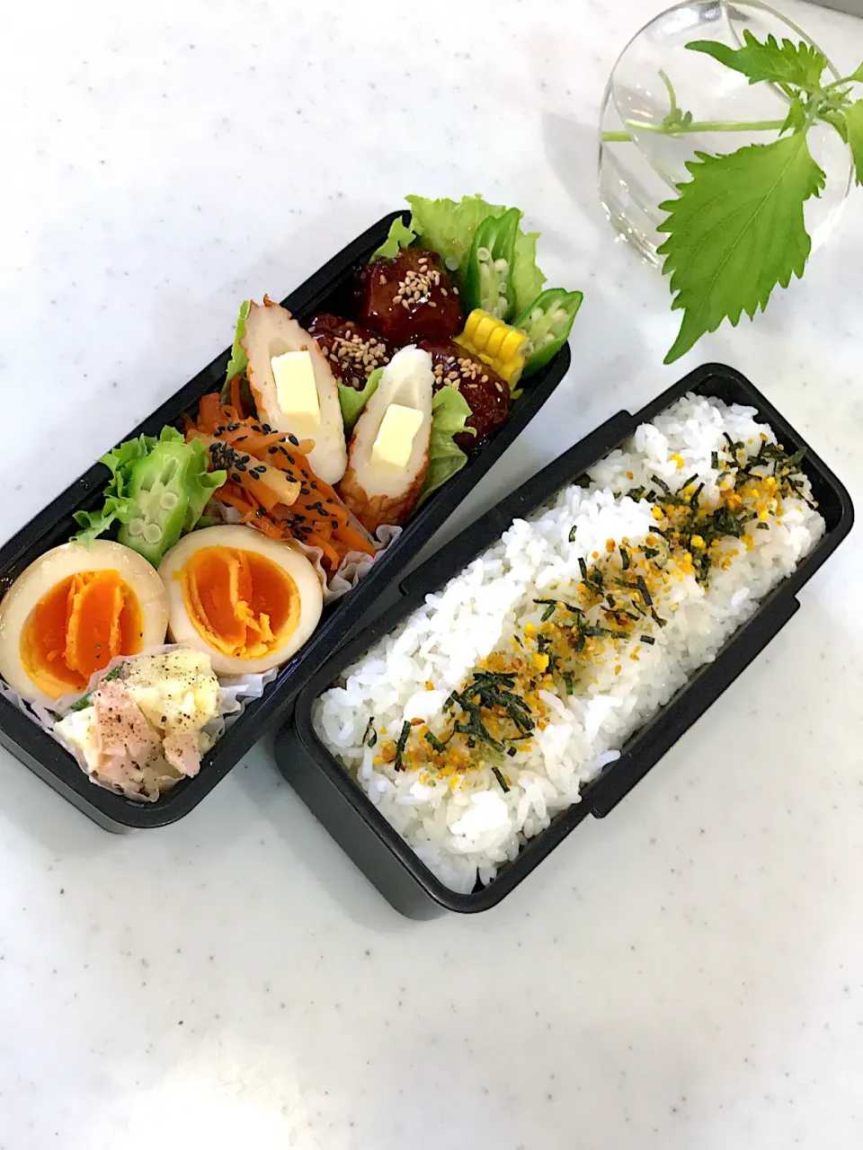 今日のお弁当|naoさん