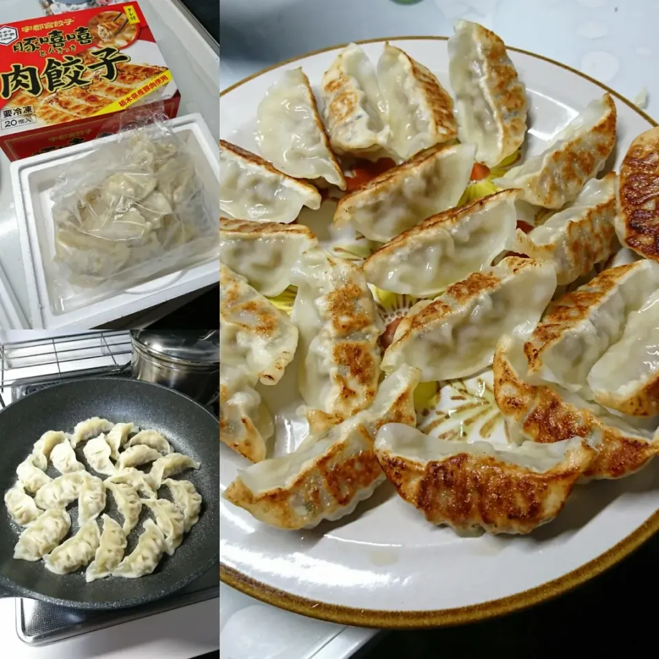 晩ごはんは焼き餃子🌃|しまだ ちえこさん